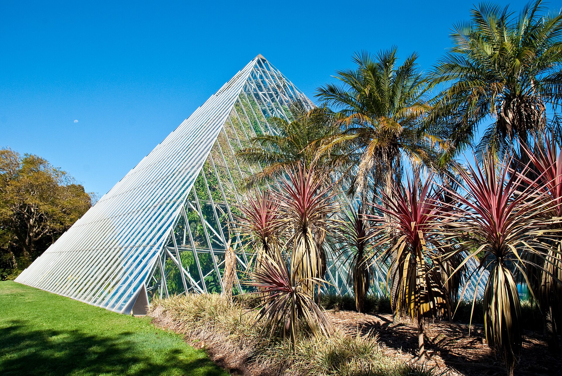 Véranda moderne avec film solaire à Meaux